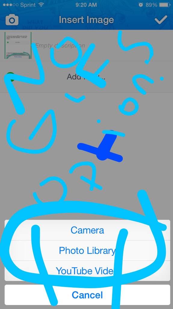 how-can-i-put-gifs-in-aa-anime-amino
