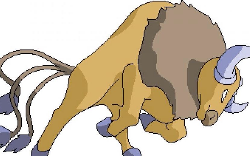 competitive spotlight tauros pokémon amino