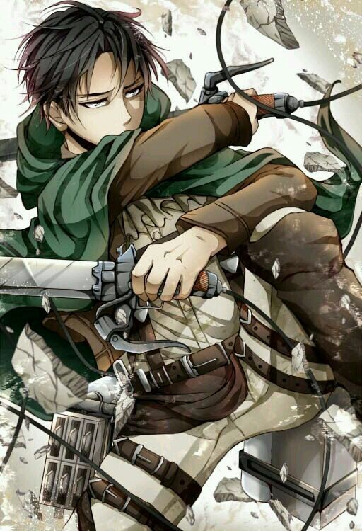 Levi | Wiki | Anime Amino