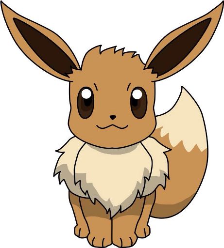 Eevee | Wiki | Anime Amino