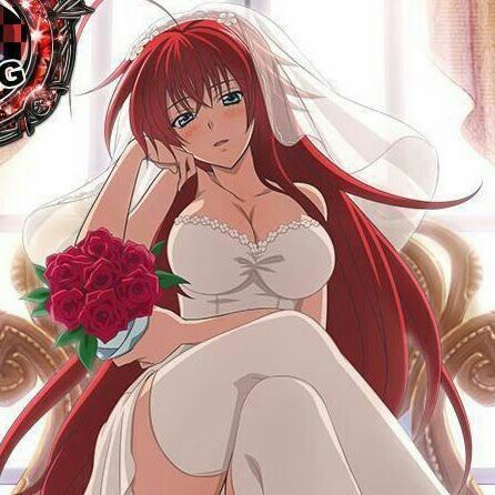 rias gremory bikini style