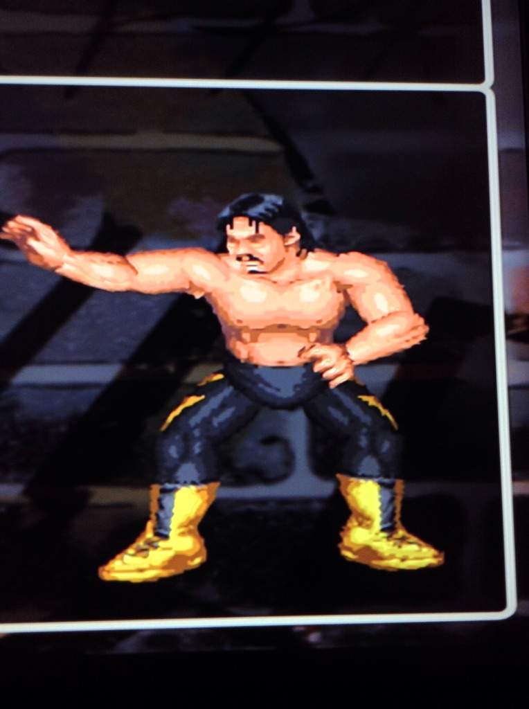 fire pro wrestling world caws cracked copy