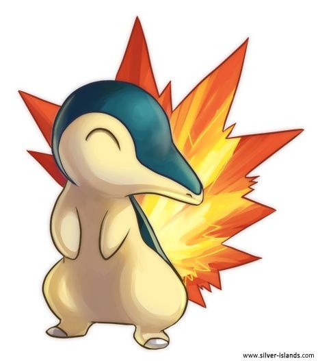 Cyndaquil Real Life Wiki Pokémon Amino