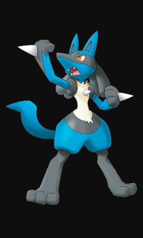 Lucario | Wiki | Pokémon Amino