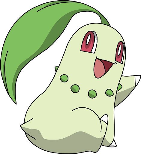 Chikorita | Wiki | Pokémon Amino