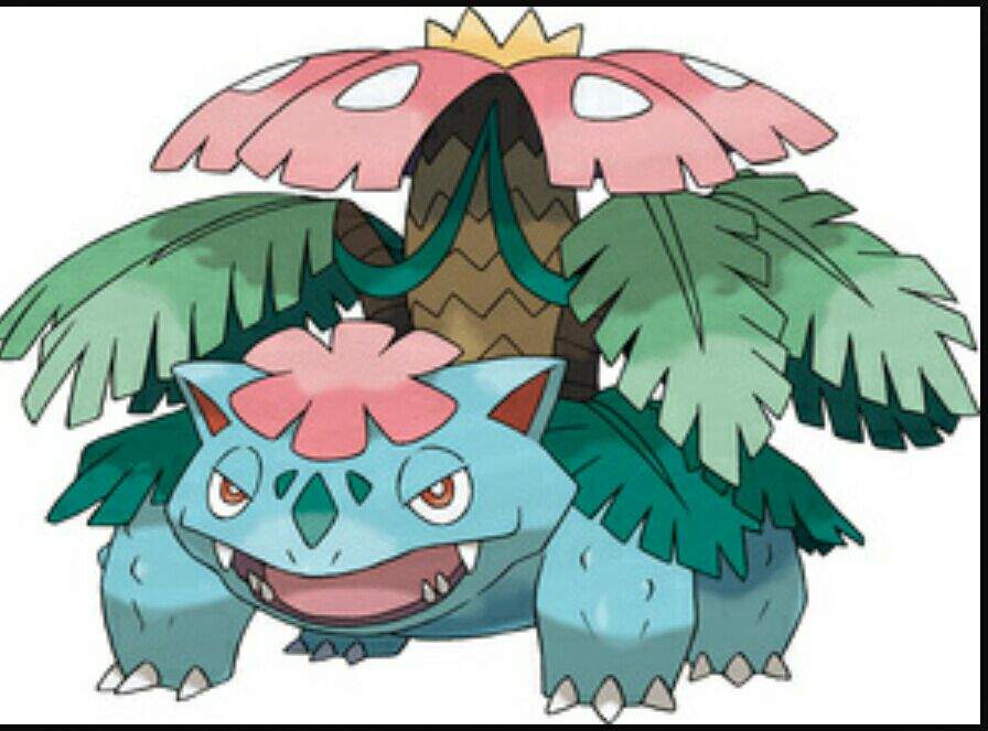 Let's talk Venusaur! 🌸 | Pokémon Amino