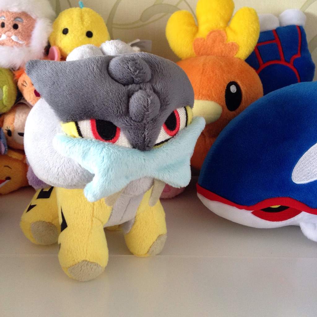 raikou pokedoll