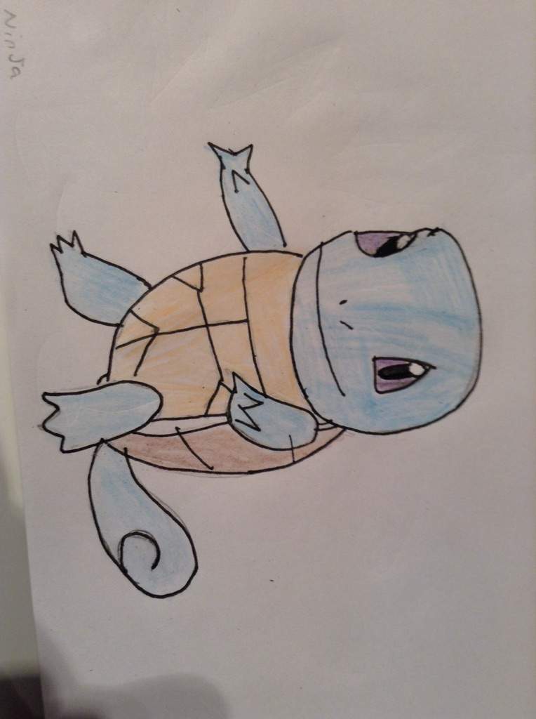 Squirtle drawing :) | Pokémon Amino