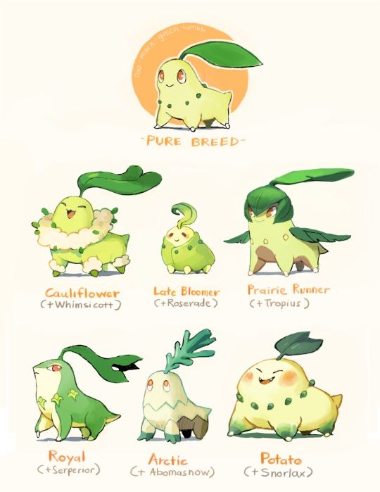 Pokemon Breeding Variations Pokémon Amino