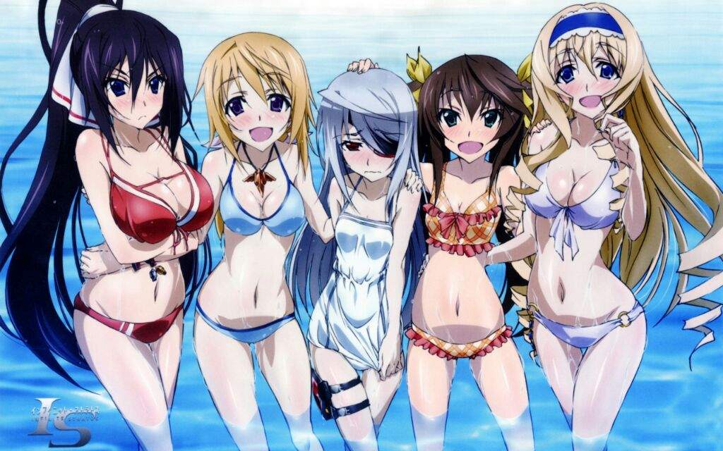 Infinite Stratos English Dub