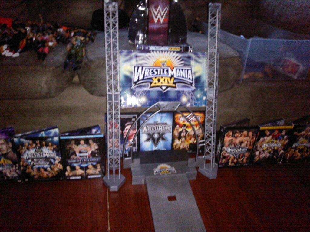 wwe action figure stage