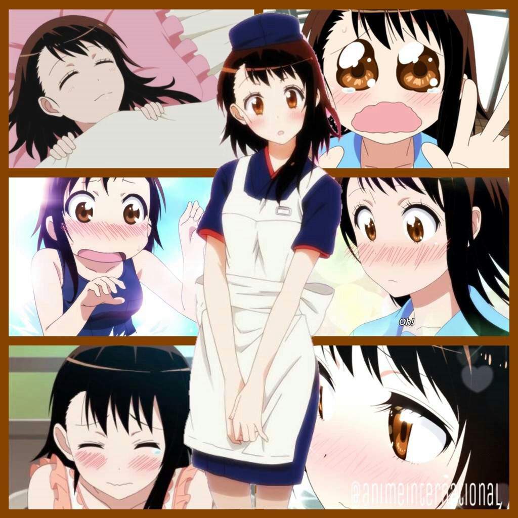 Which Girl Did You Like In <b>Nisekoi</b> Anime Amino.