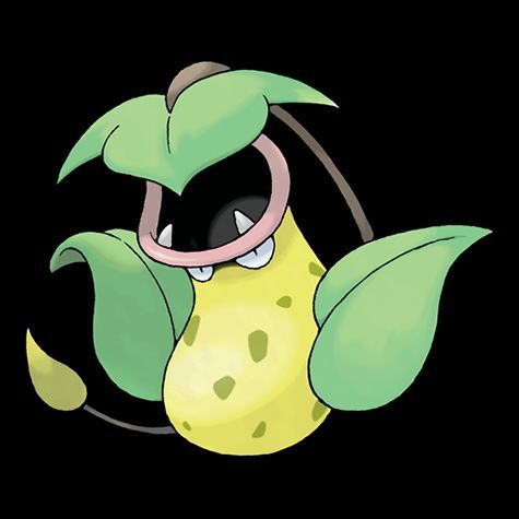 Green Pokemons | Wiki | Pokémon Amino