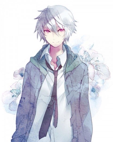 The boy with magical ice powers | Anime Amino