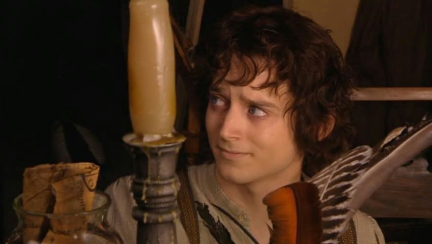 who played frodo baggi s