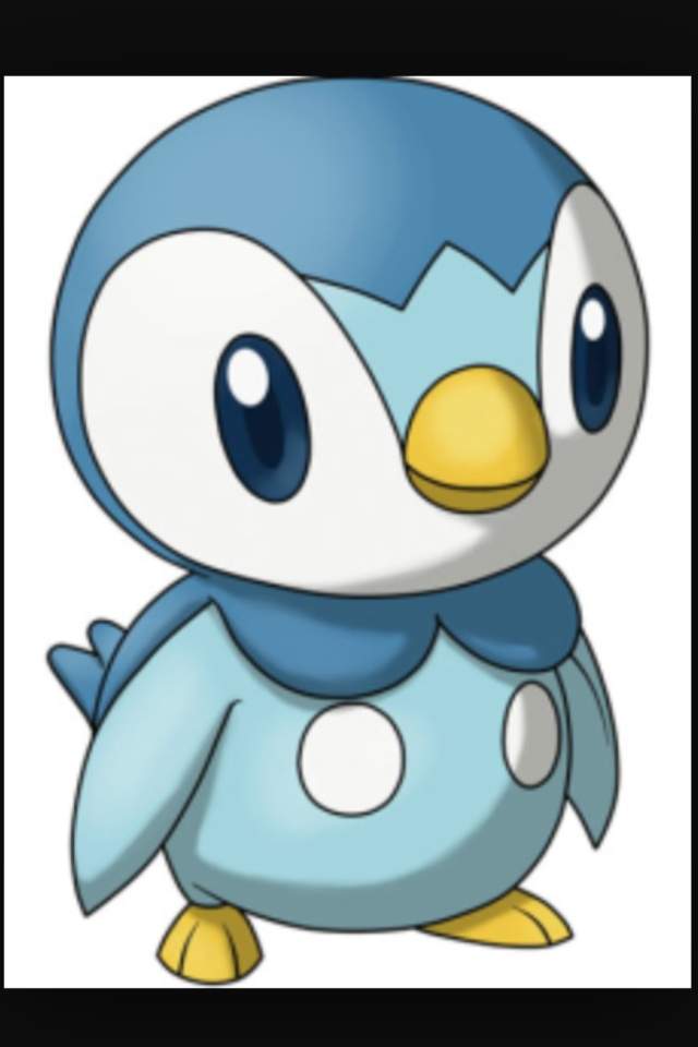 Pokémon 30 day challenge most adorable pokémon: piplup | Pokémon Amino