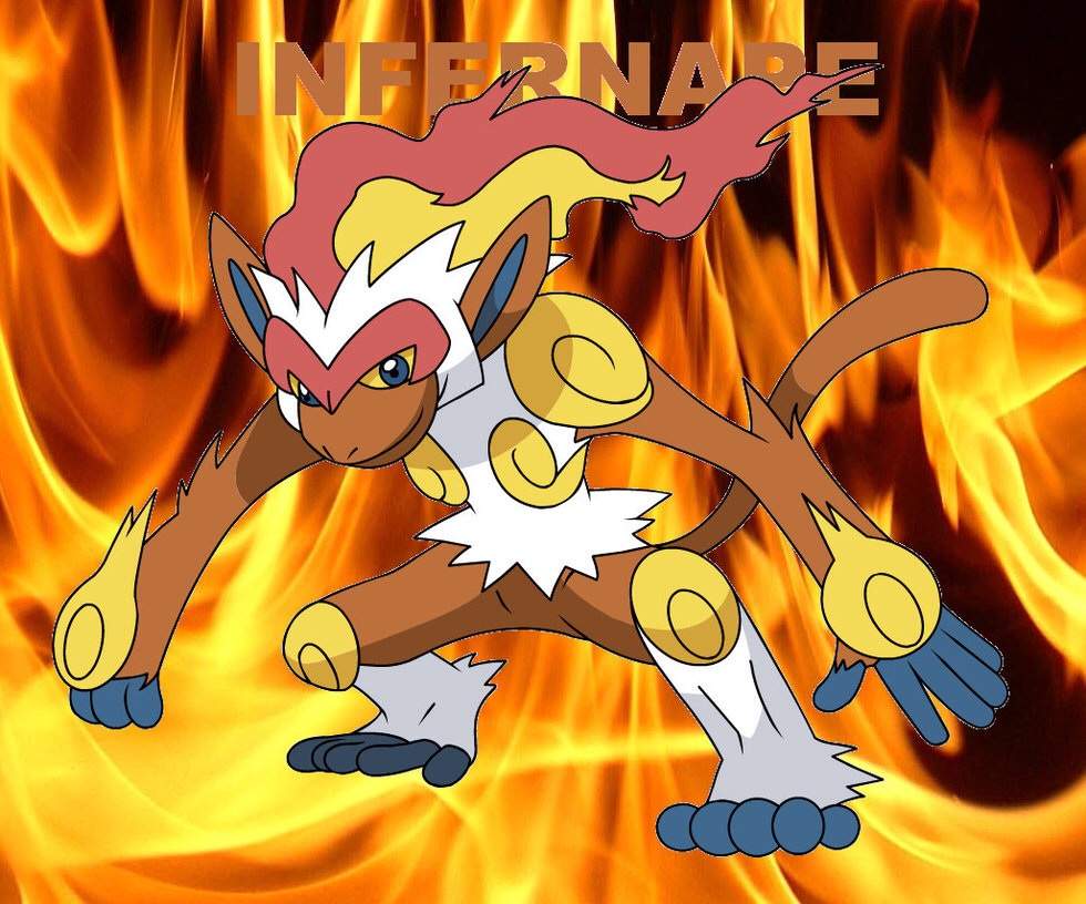 competitive-spotlight-infernape-pok-mon-amino