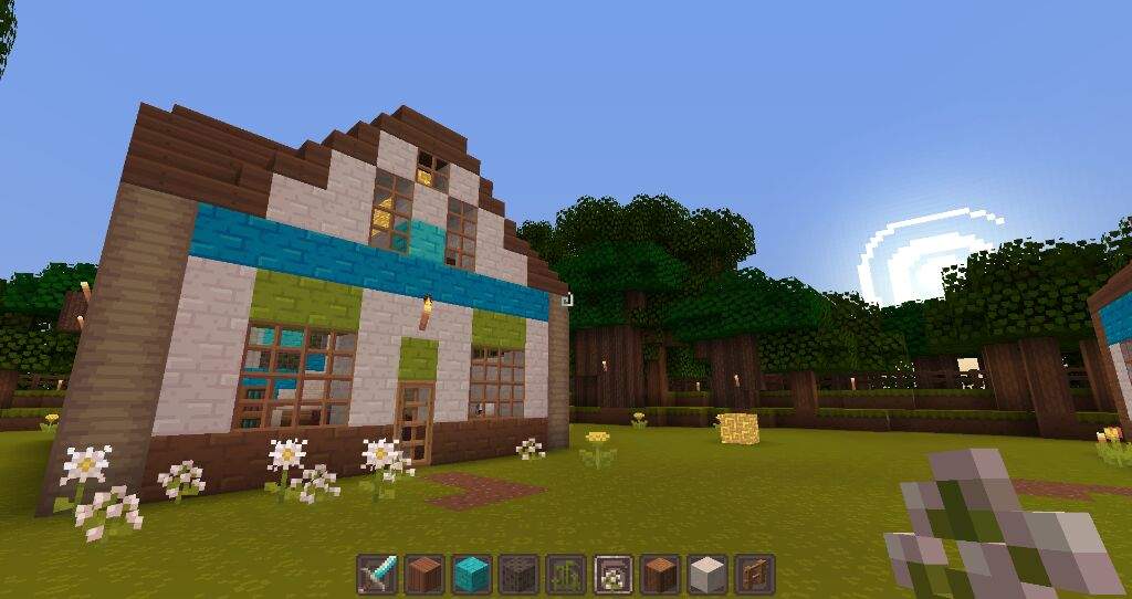 Minecraft Build: Hoenn Region Littleroot Town | Pokémon Amino