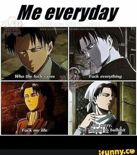 What the fandom sees of Levi | Anime Amino