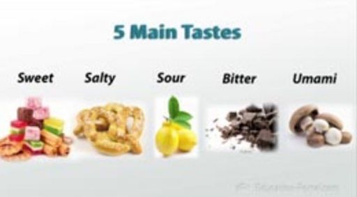 What Taste Do You Like The Most? | Food Amino