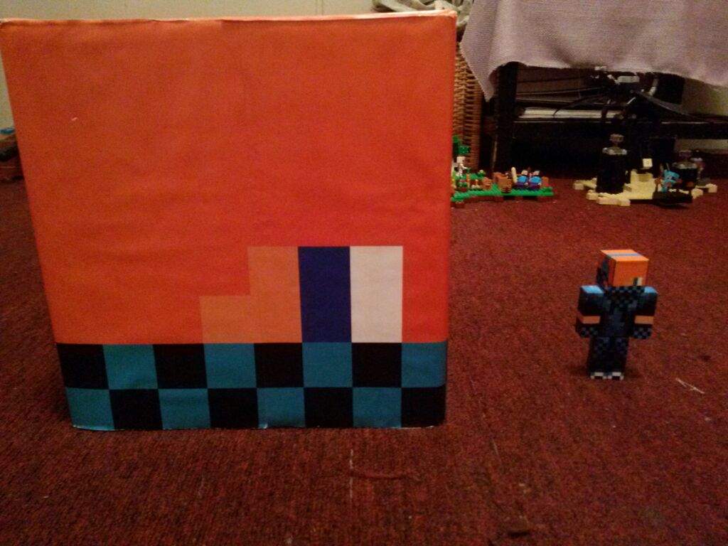 In The Past Few Weeks I Ordered A Box Head Of My Skin A Endertoy And In The Past Few Weeks I Ordered A Box Head Of My Skin A Endertoy And
