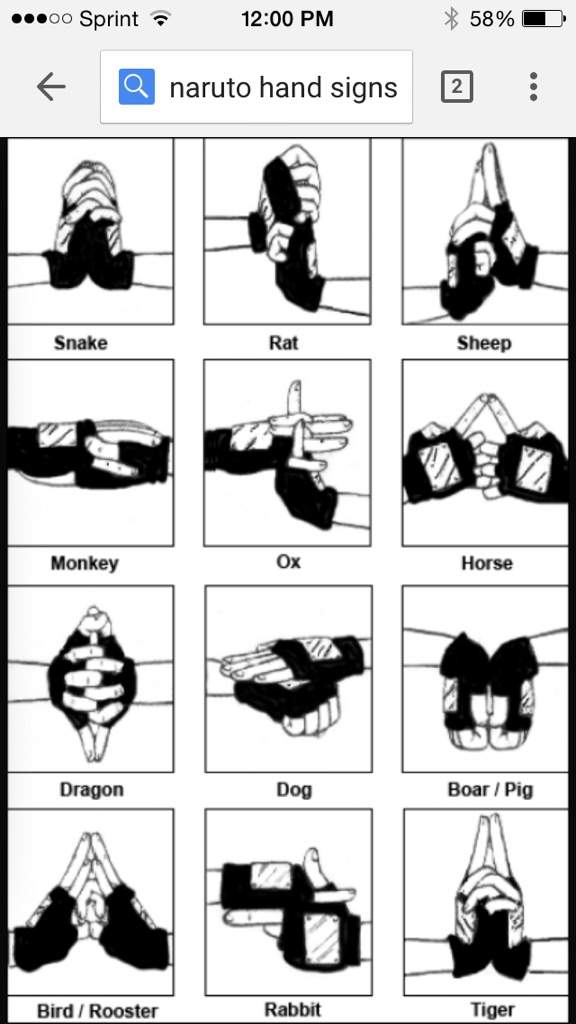 The Naruto Hand Signs - vrogue.co