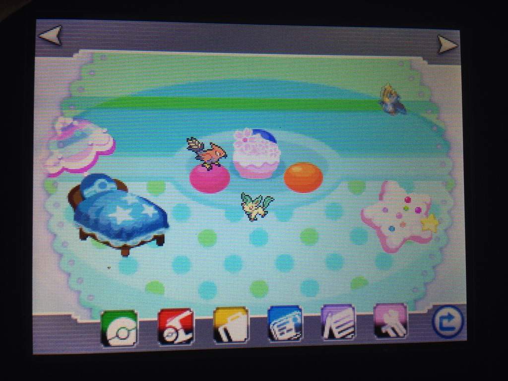 My Pokemon Amie Room Pokemon Amino