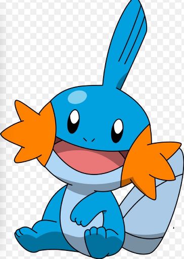 Mudkip | Wiki | Pokémon Amino