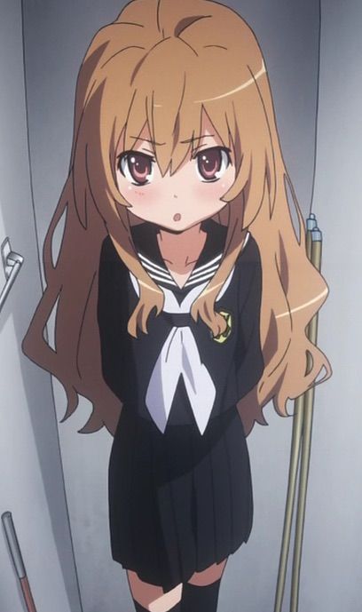 Taiga Aisaka | Wiki | Anime Amino