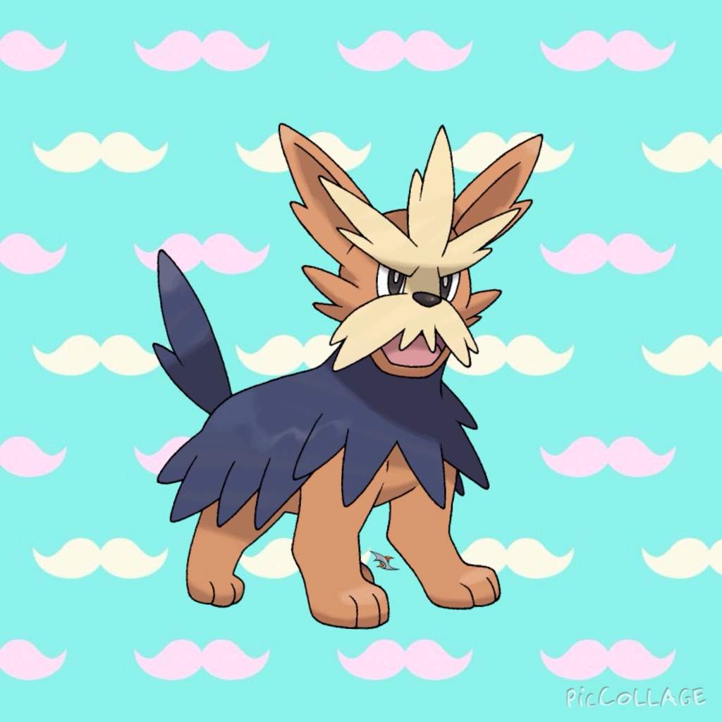 Mustache Photos Mustache Dog Pokemon