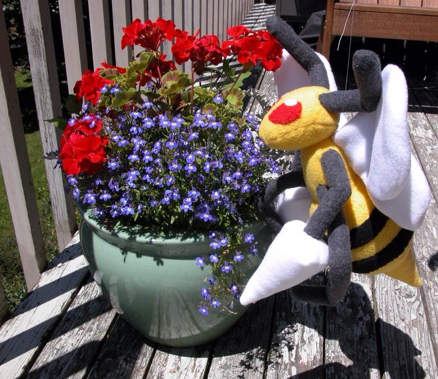 pokemon beedrill plush