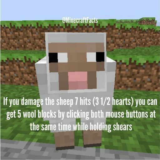 Minecraft Facts | Minecraft Amino