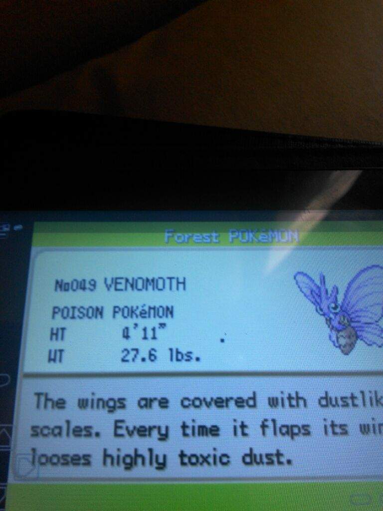 Catch and evolved Pokémon Amino