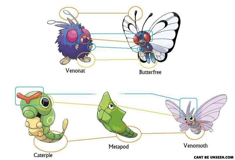 Note the similarities in the eyes and limbs, or in Venomoth's and Cate...