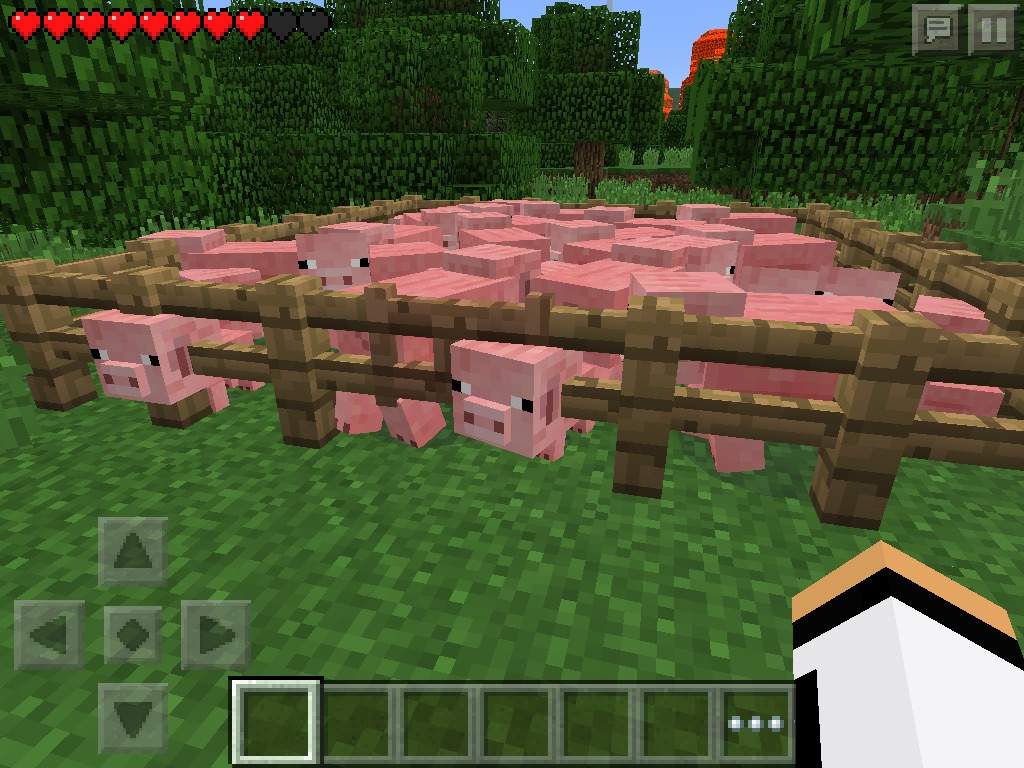 Minecraft Pig Death