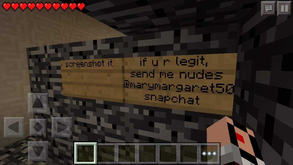 Naked girls from minecraft Stupid Nude Girl Thing Minecraft Amino