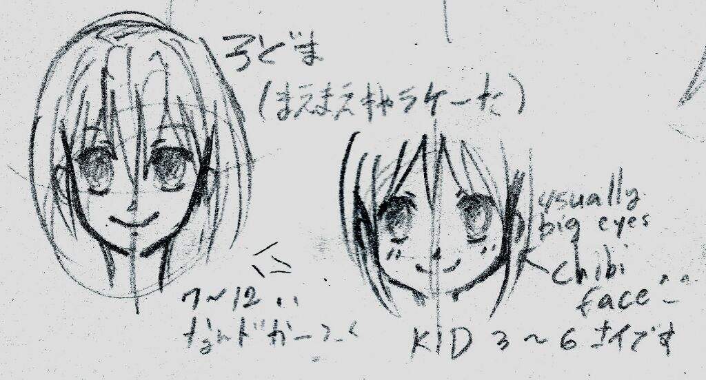 Basic How to Draw Face Shape | Anime Amino