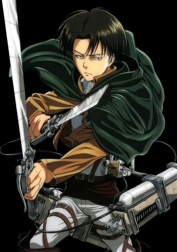 Levi Ackerman | Anime Amino