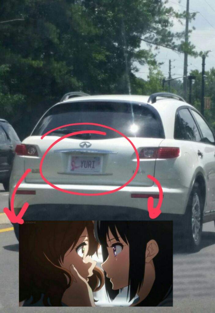 Funny License Plate on the road (word "Yuri") | Anime Amino