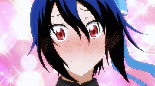 Seishirou Tsugumi | Wiki | Anime Amino