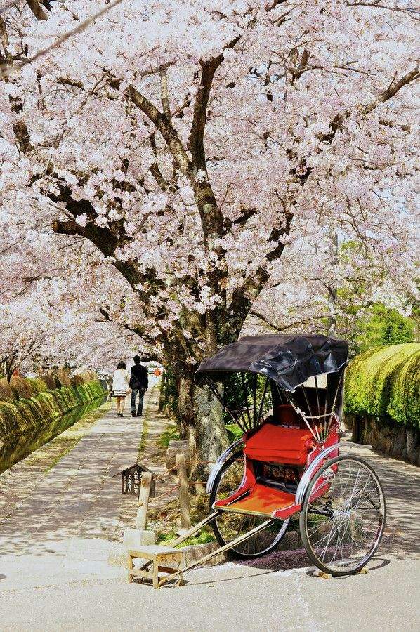 KYOTO's most beautiful places | Anime Amino