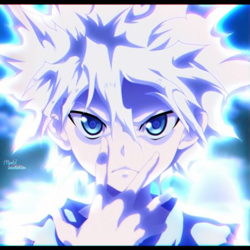 Hunter x Hunter | Wiki | Anime Amino