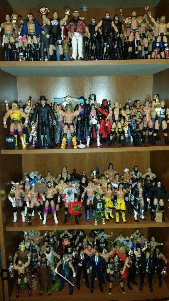 wrestling figure collection