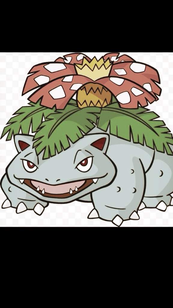 Venusaur Wiki Pokémon Amino