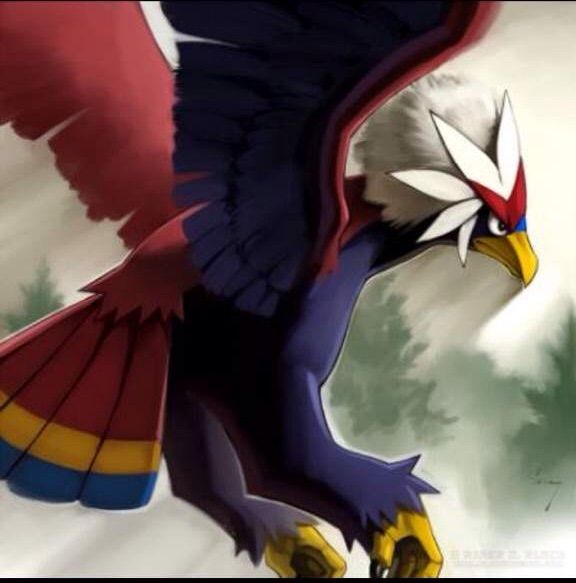 Braviary set for the 4th | Pokémon Amino