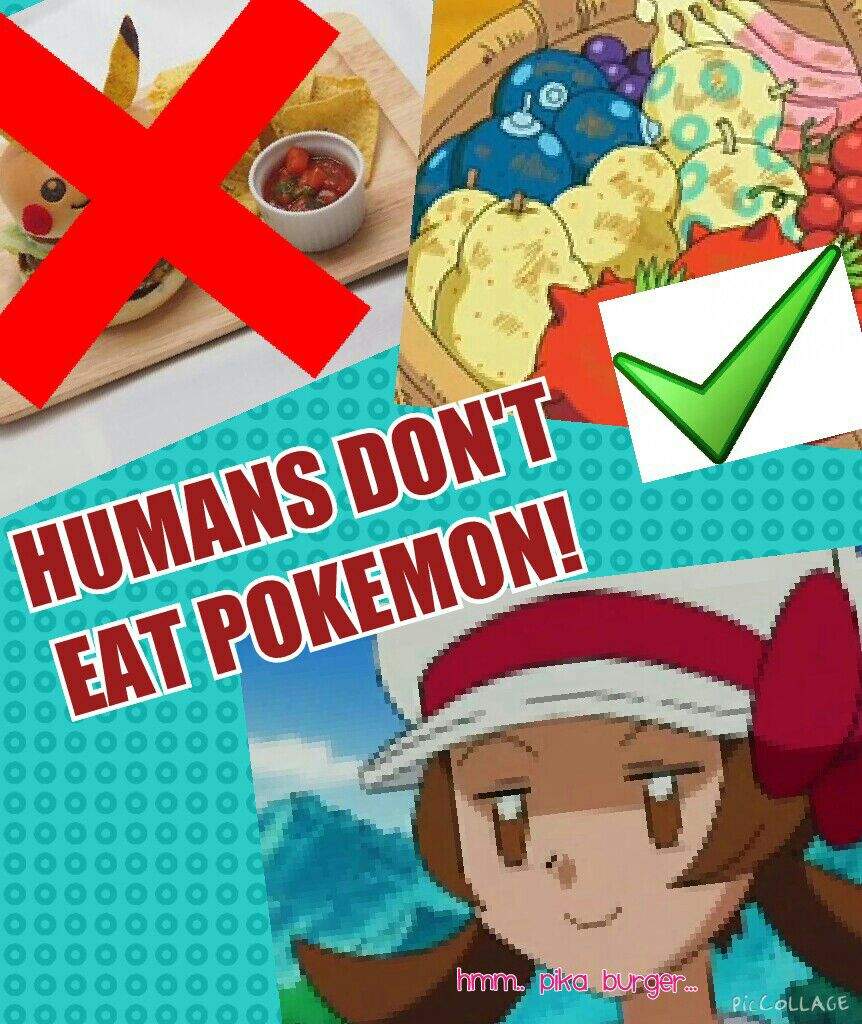 pokemon-theory-humans-don-t-eat-pokemon-pok-mon-amino