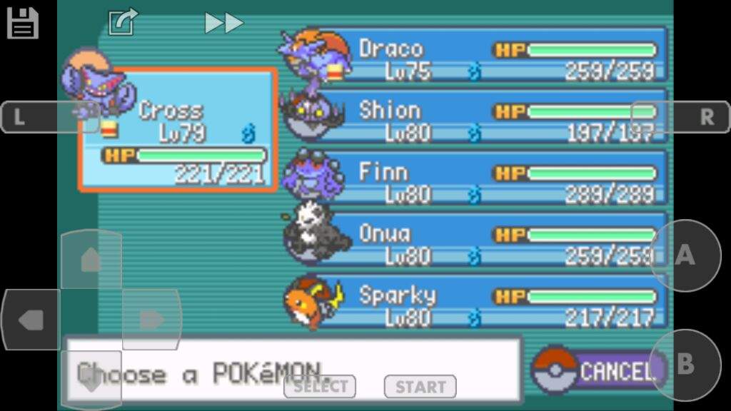 'Pokemon 'pokemon