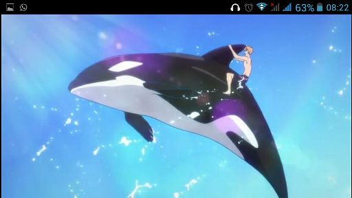 Whales, dolphins, penguins and butterflies ;) | Anime Amino