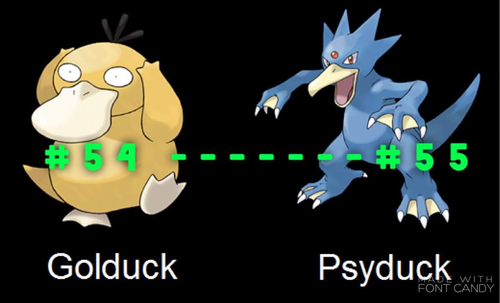 Golduck Evolution Chart