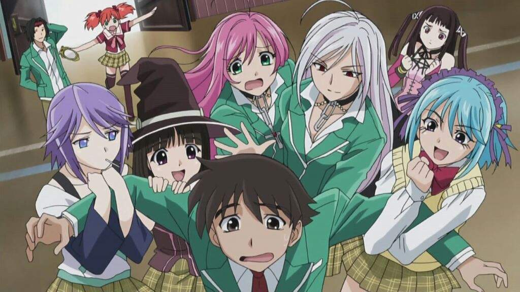 Harem or Reverse Harem | Anime Amino